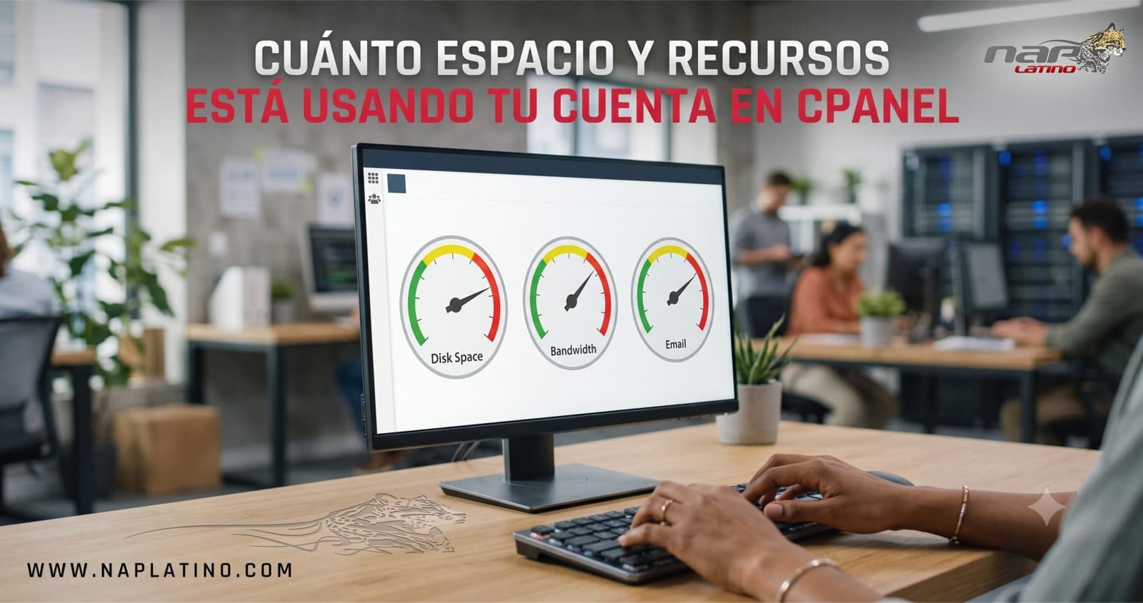 Cómo revisar cuánto espacio y recursos está usando tu cuenta en cPanel